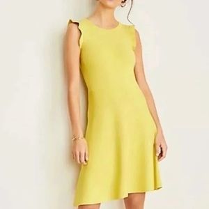 Ann Taylor Petite Sleeveless Flirty Flare Dress